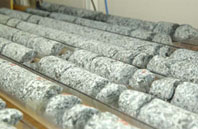 exp305_gabbro_cores